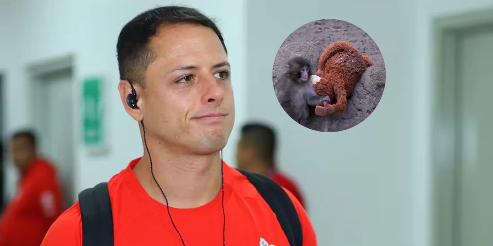 Javier Hernández reacciona al caso del mono Punch