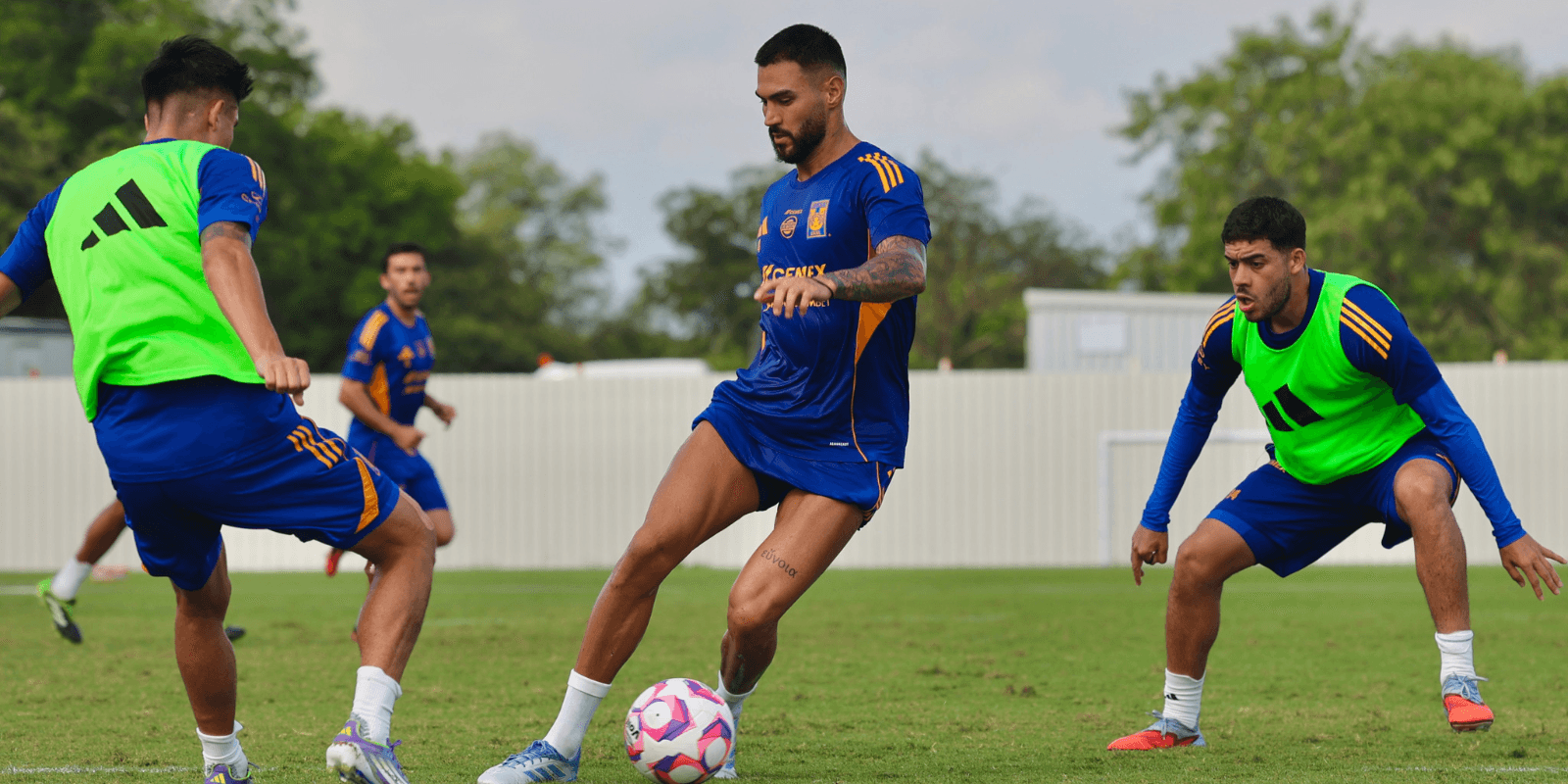Jugadores en entreno. Foto: Tigres