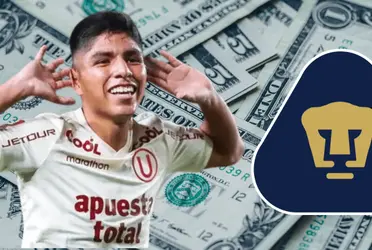 Los Pumas van por una joya peruana.