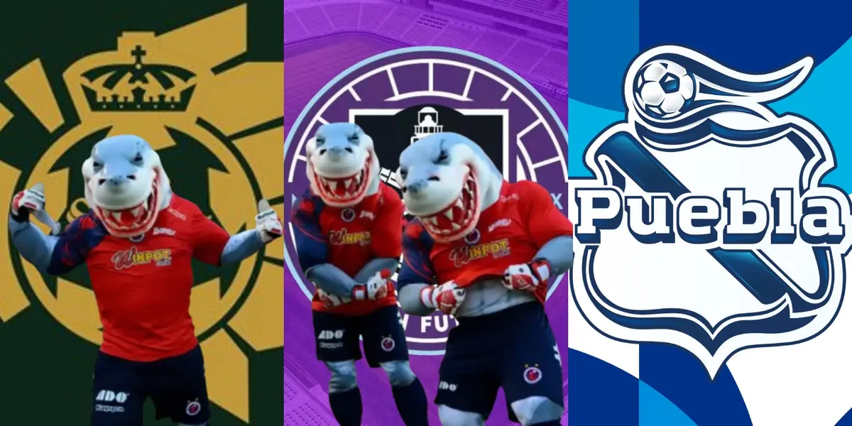 Tiburones de Veracruz junto a escudos de Santos, Mazatlán y Puebla / FOTO LIBERAL DEL SUR