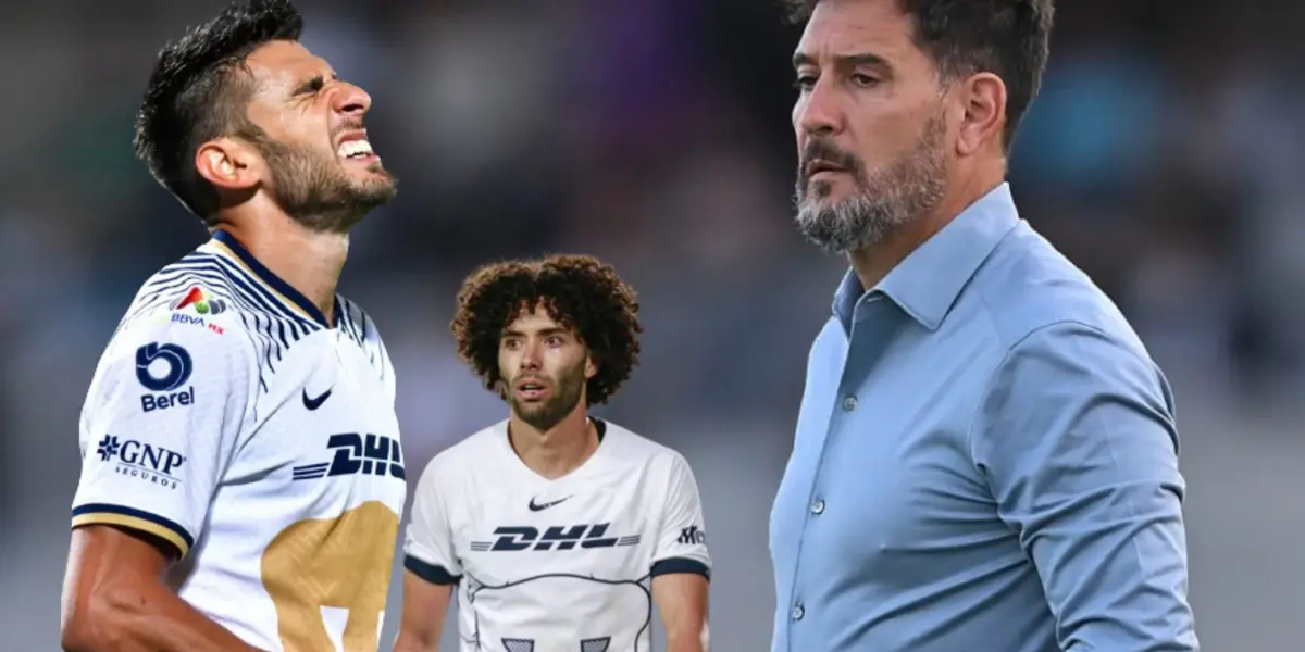 Una pésima noticia para los felinos.