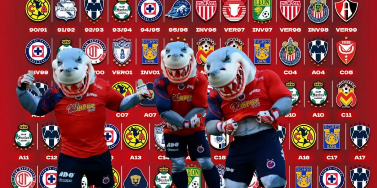 Veracruz junto a subcampeones de la Liga MX / FOTO