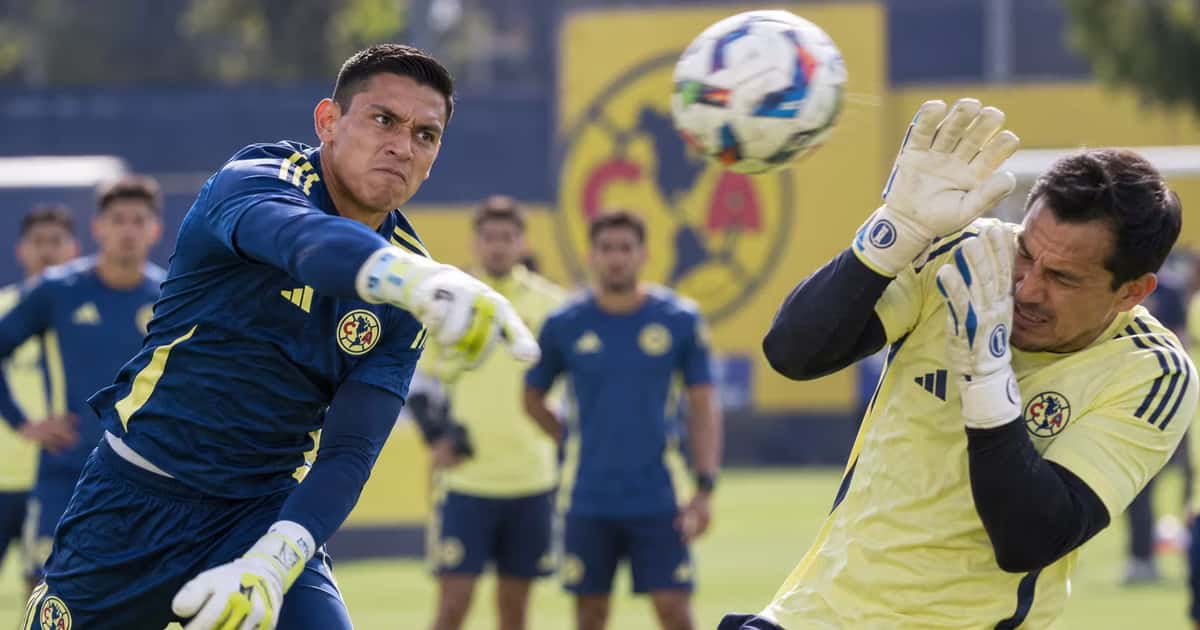 Luis Malagón y Cota